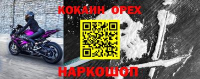 ПСИЛОЦИБИНОВЫЕ ГРИБЫ Коммунар
