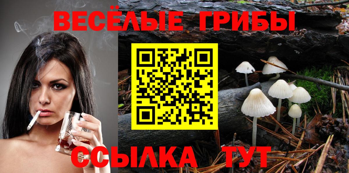 хочу наркоту  Галлюциногенные грибы мицелий  Вход с VPN  Шуя 
