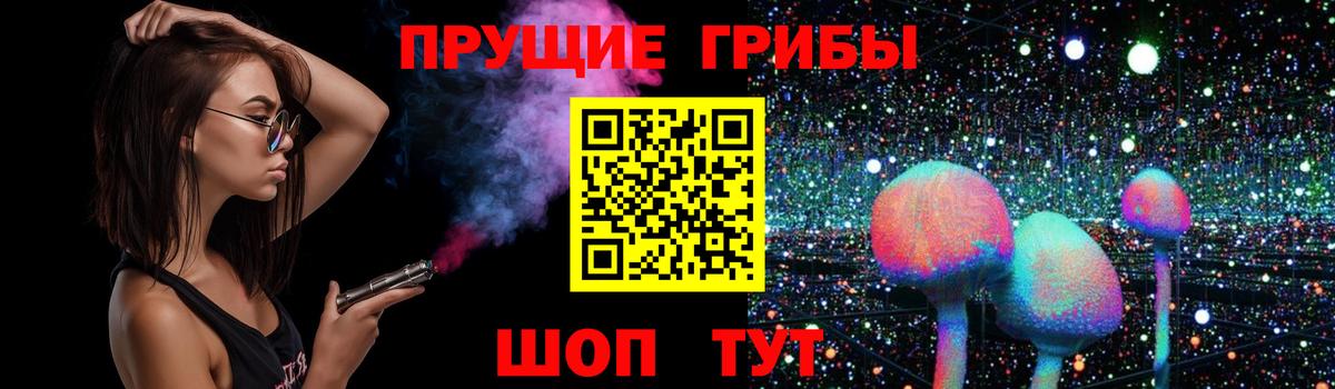 Псилоцибиновые грибы Cubensis Шуя